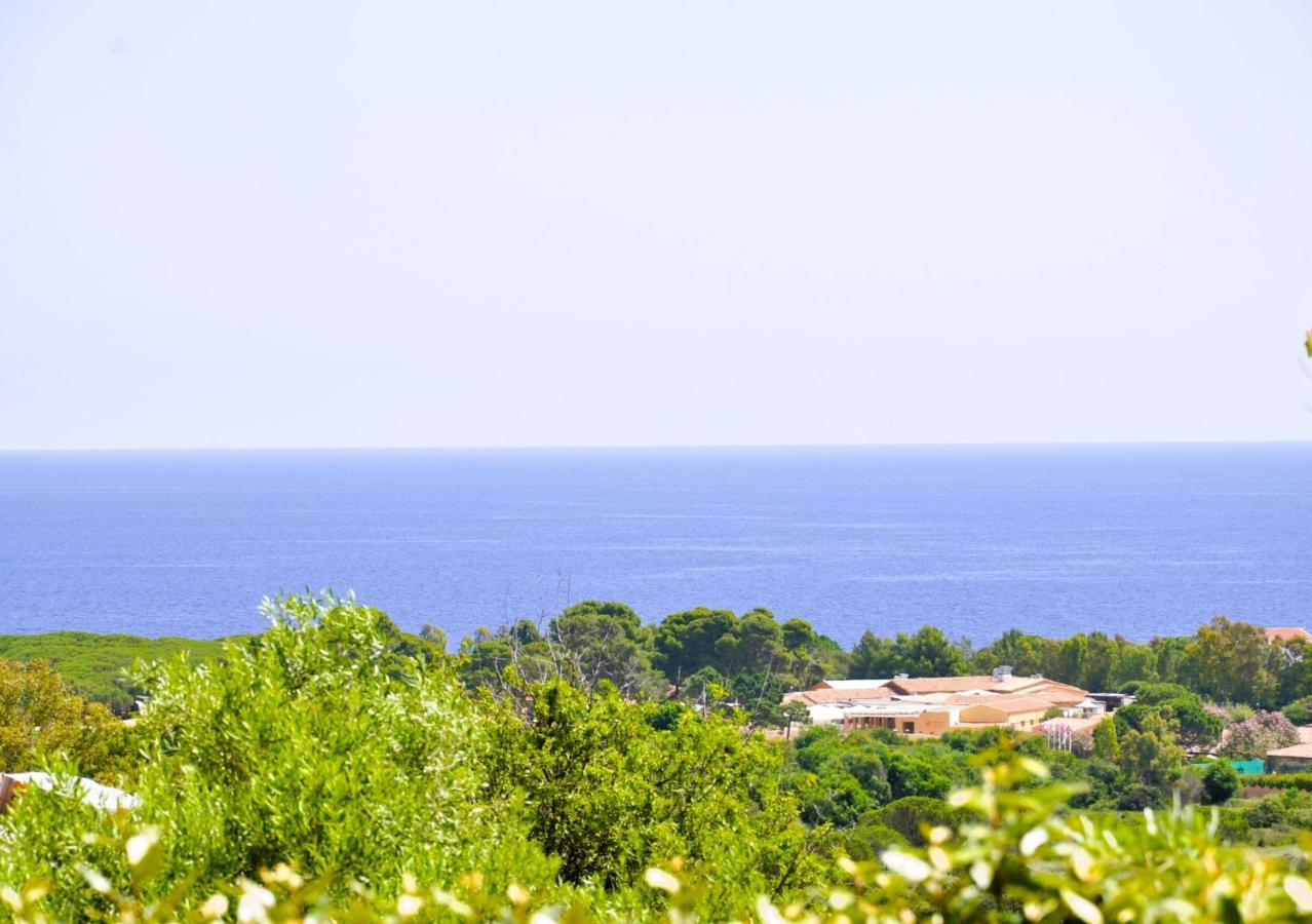 Villa Nadia Con Piscina Privata Budoni タナウネッラ エクステリア 写真