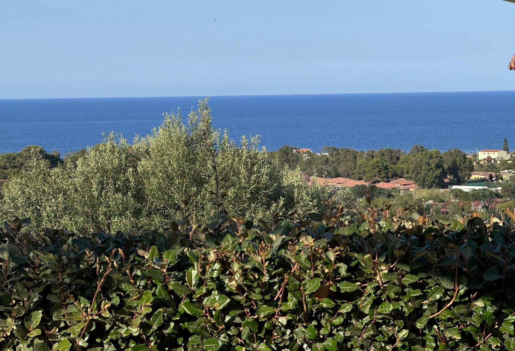 Villa Nadia Con Piscina Privata Budoni タナウネッラ エクステリア 写真